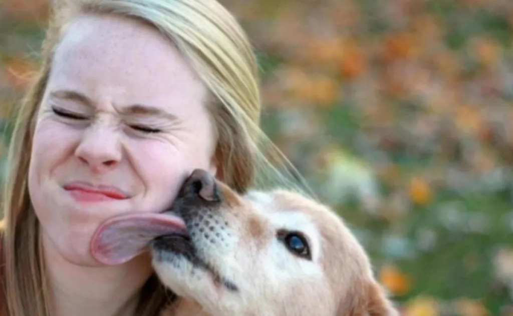 ¿ES PELIGROSO QUE TU PERRO TE LAME LA CARA? AQUÍ TE EXPLICAMOS TODO